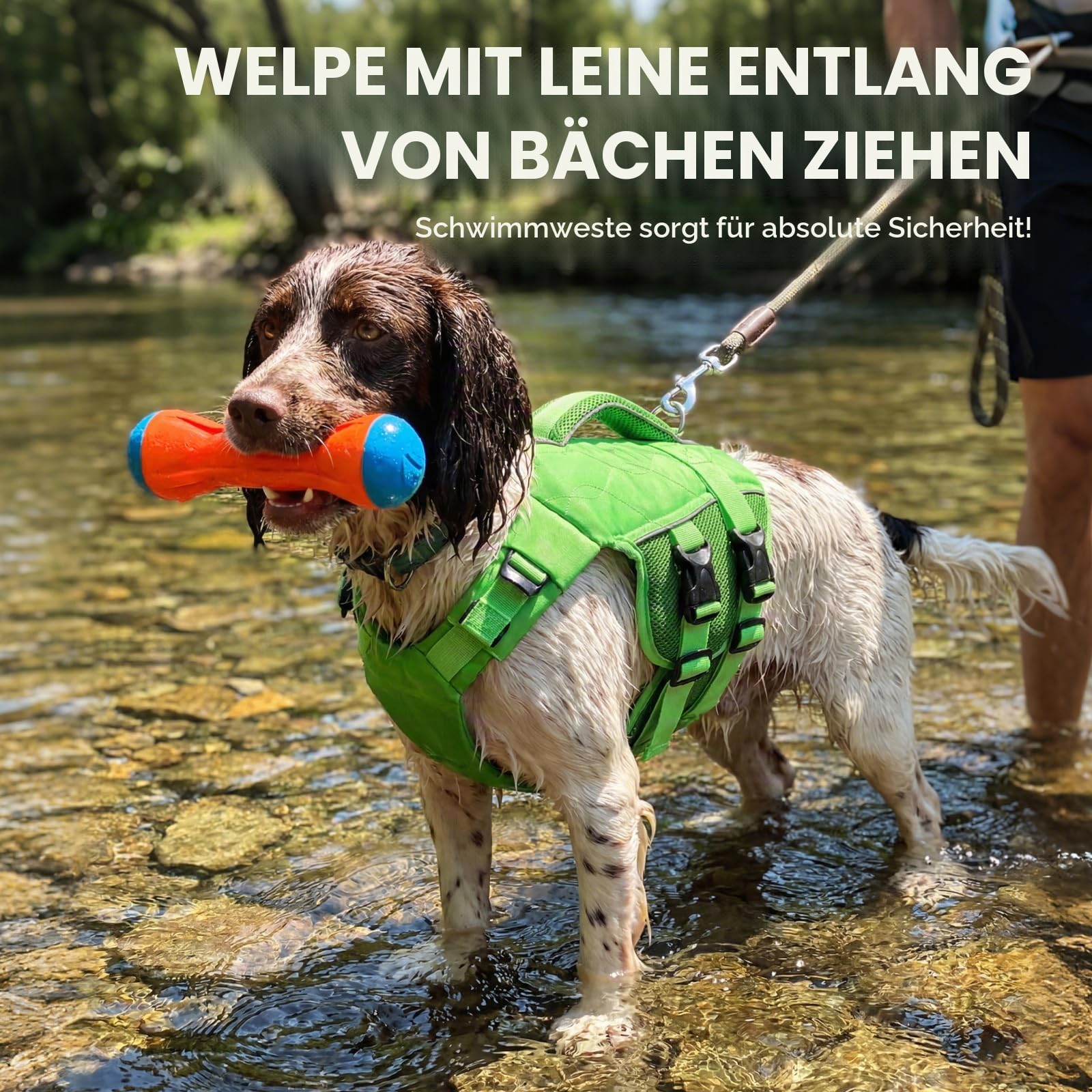 ASENKU Schwimmweste Hund Groß XL,Verstellbar & Ripstop Hundeschwimmweste,Rettungsweste für Hunde mit Griff und Reflektierend, Hunde Schwimmweste für Chihuahua,Dackel,Französische Bulldogge, Labrador