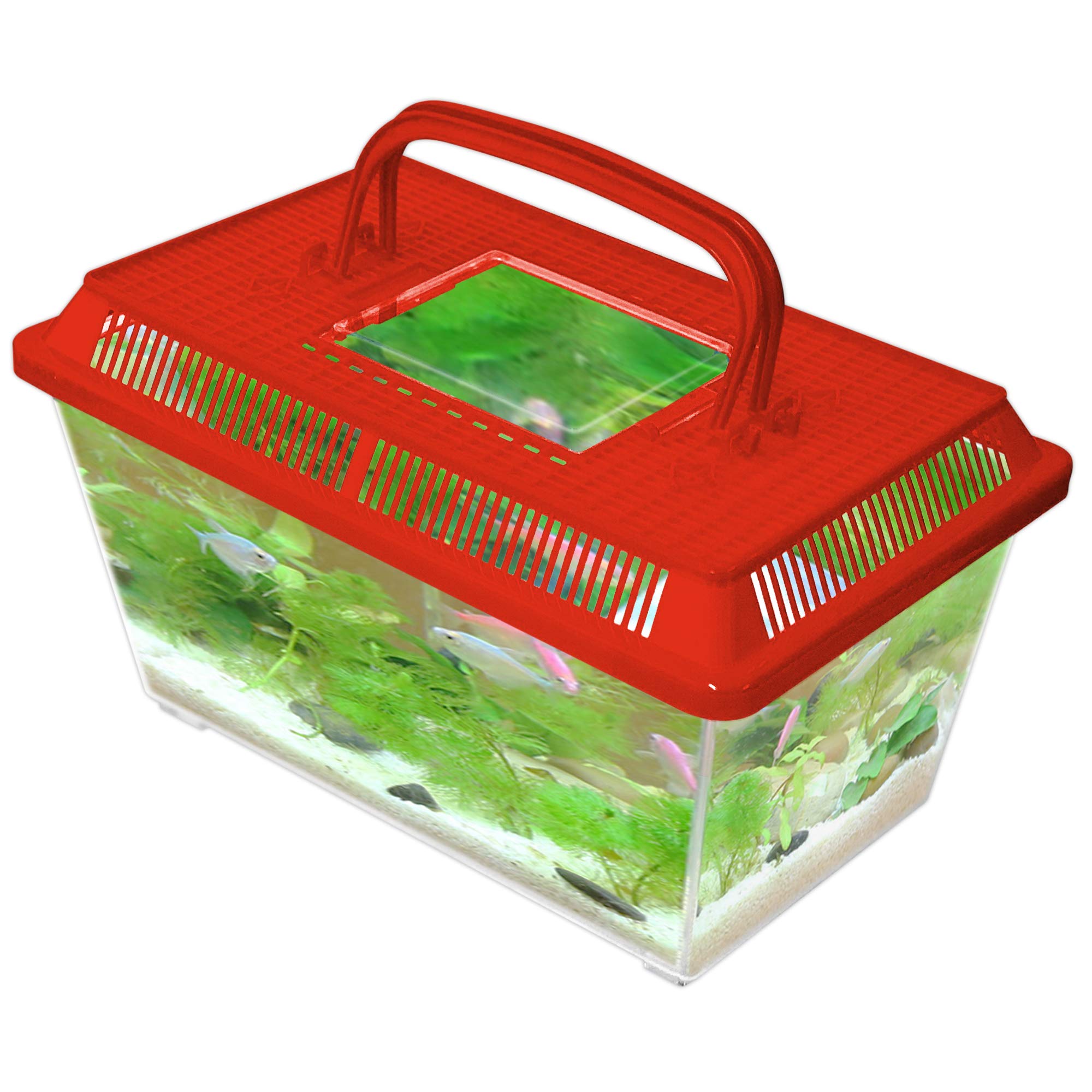 Innova Plastic Transparent Red 2.3L Terrarium Box, Container Aquarium Tank — view 3