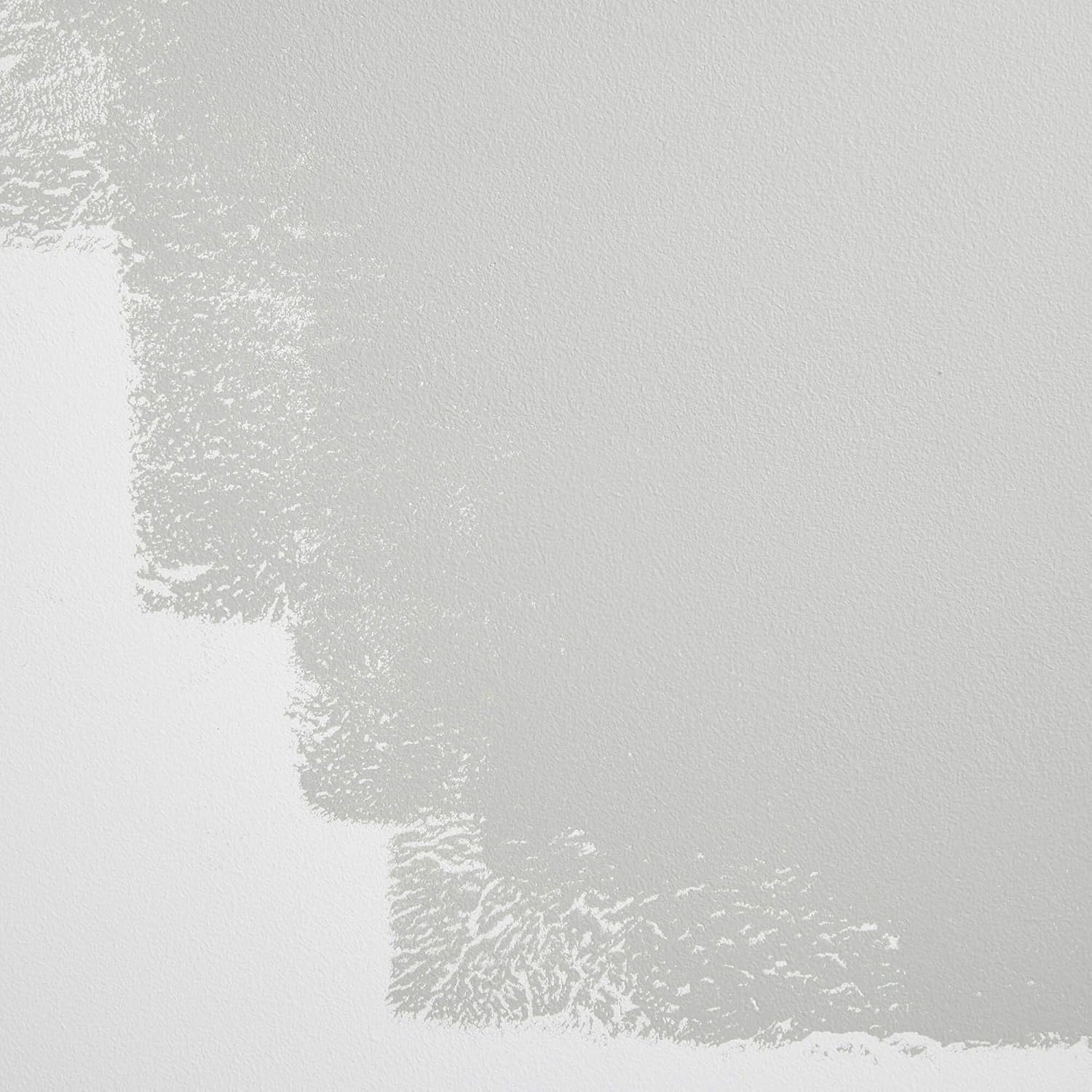 BACKDROP | Premium Interior Paint | Standard Semi Matte, Low Sheen Finish | Self-Priming, Low VOC, Green Wise Certified | ITALIAN PLASTER – Cool, light gray | 1 Gallon