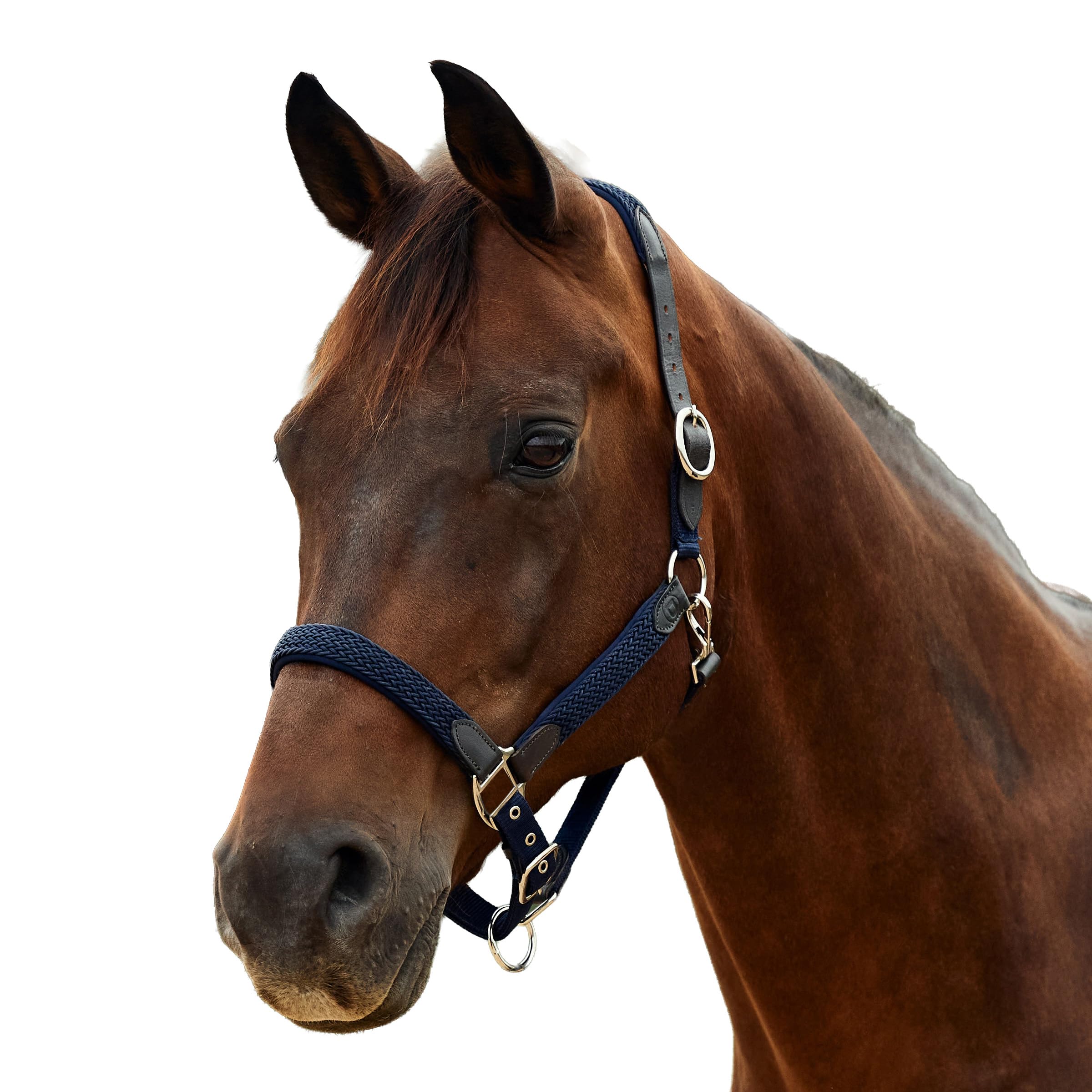Dublin Braided Leather Headcollar, Navy, Pony