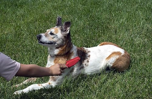 Miniatura 10 de Escoba original FURemover de goma para pelo de mascotas con rasqueta, con mango telescópico de 58" para alfombra, baldosas y madera dura y cepillo