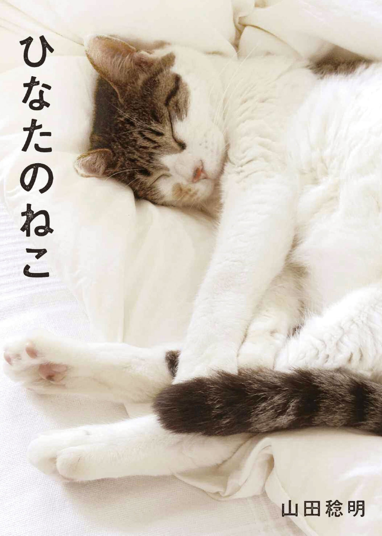 【中古】 山猫山だより/少年画報社/ひのもとはじめ ひなたのねこ | 山田 稔明 |本 | 通販 | Amazon