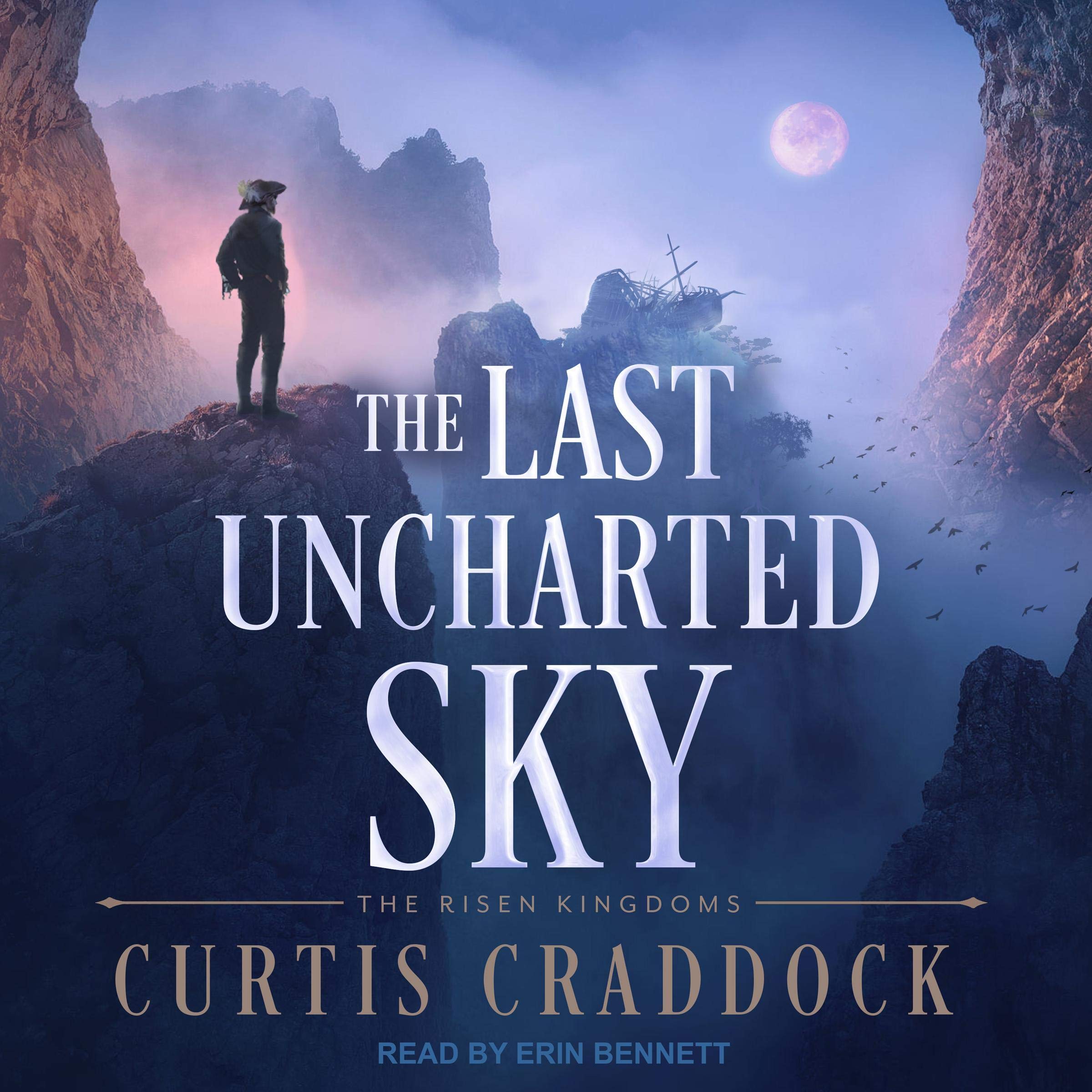 Cover art for The Last Uncharted Sky