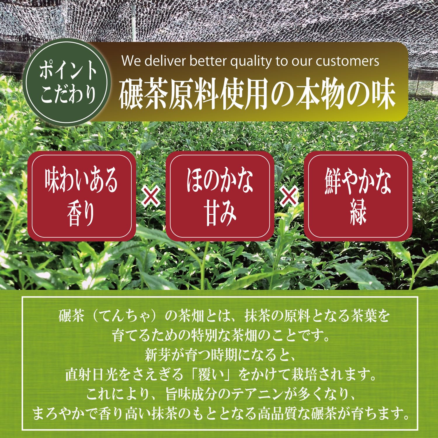 Amazon.co.jp: [駿府堂茶舗] 抹茶100g業務用 | 特選 国産 パウダー
