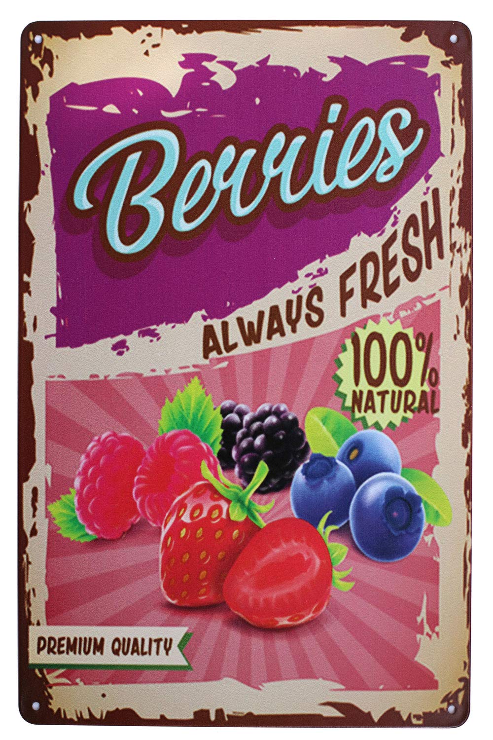 Fresh Fruit Vintage Tin Metal Sign Home Wall Plaque Decor (Berries)