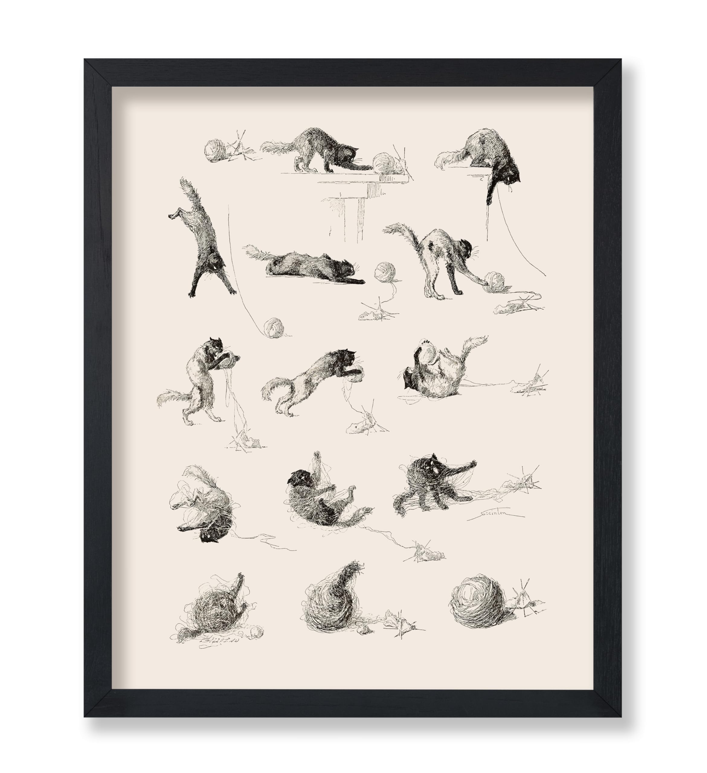 Poster Master Vintage Cat Studies French Journal