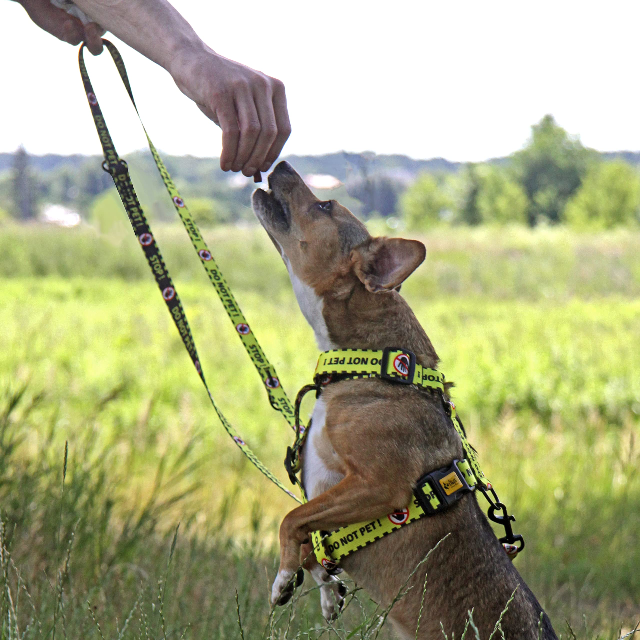 Dingo Do Not Pet Schutzgeschirr, verstellbar, sichere Kontrolle, spezielle Pflege für Verschiedene Hundebedürfnisse, handgefertigt, Schwarz/Gelb mit Warnung Do Not Pet, Größe L (95378)