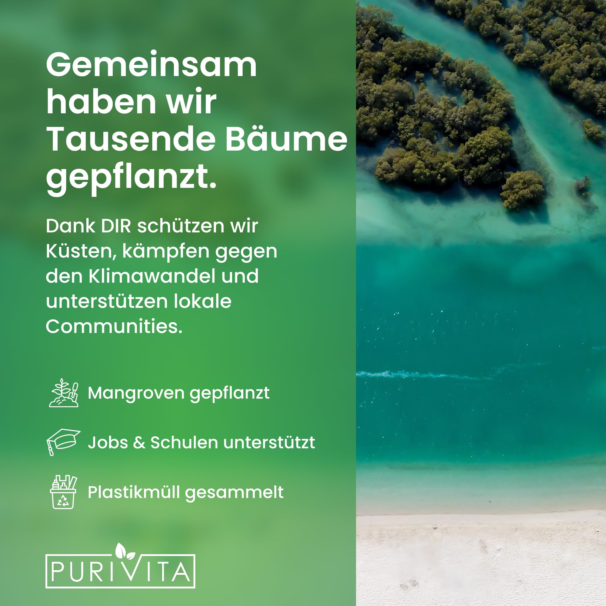 PURIVITA® Saugwischer Reinigungskonzentrat Nasssauger 5L Magnolienduft | Für Waschsauger und Wischroboter: streifenfrei, schnell trocknend, ergiebig, angenehmer Duft