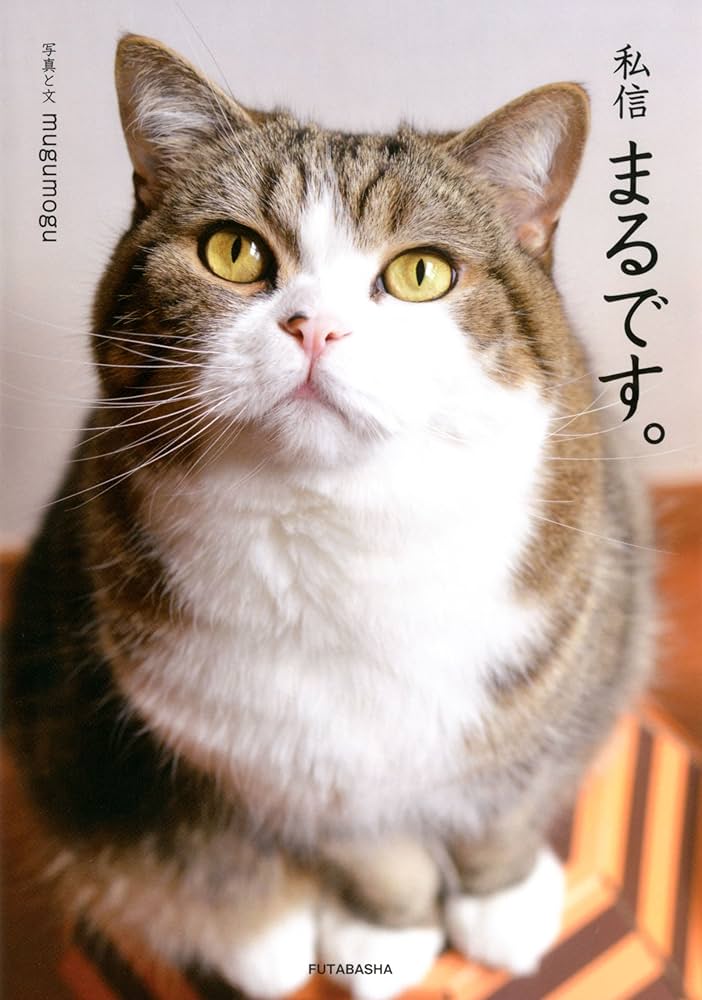 Amazon.co.jp: 私信 まるです。 電子書籍: mugumogu: Kindleストア