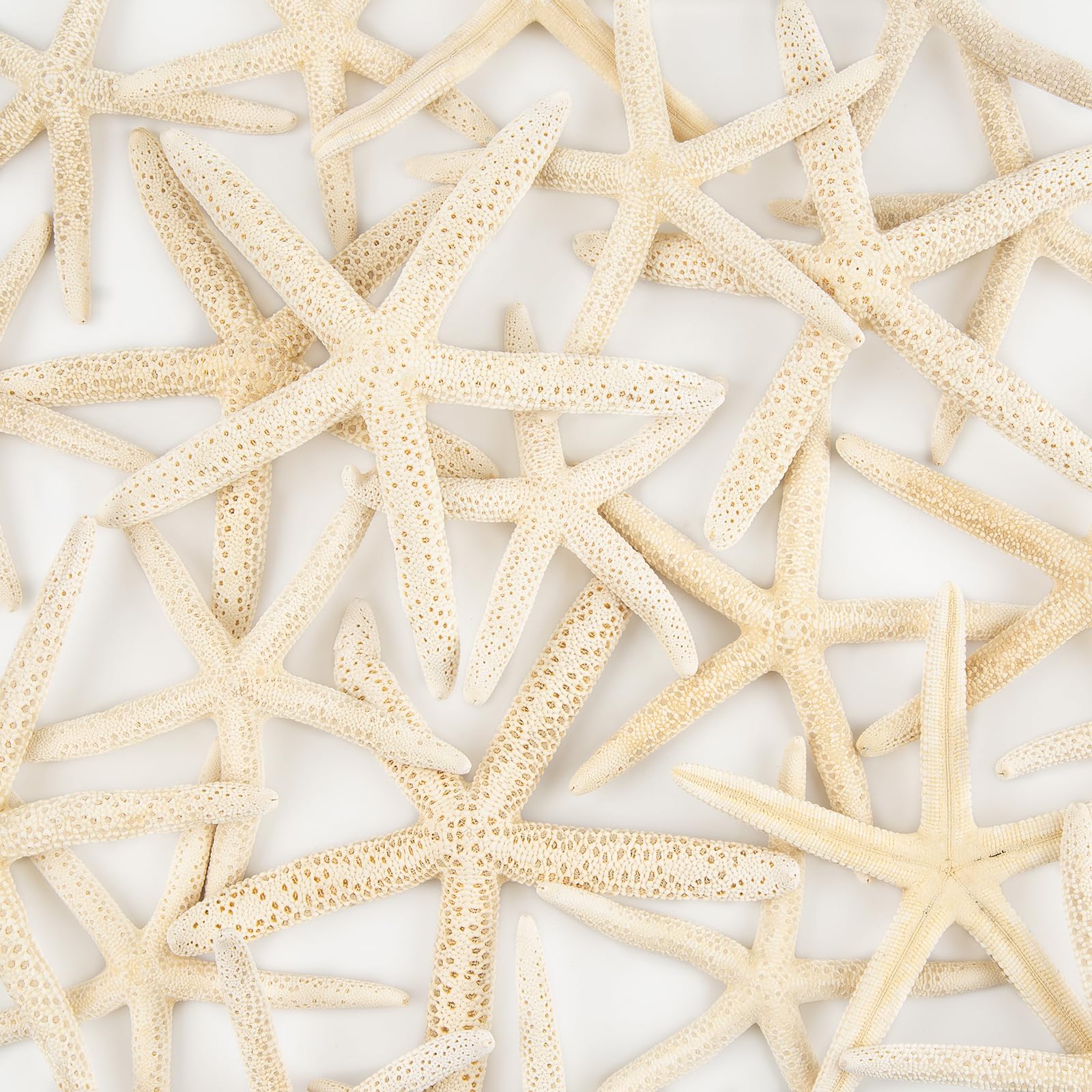 Amazon.com: 20 PCS Starfish for Crafts 4