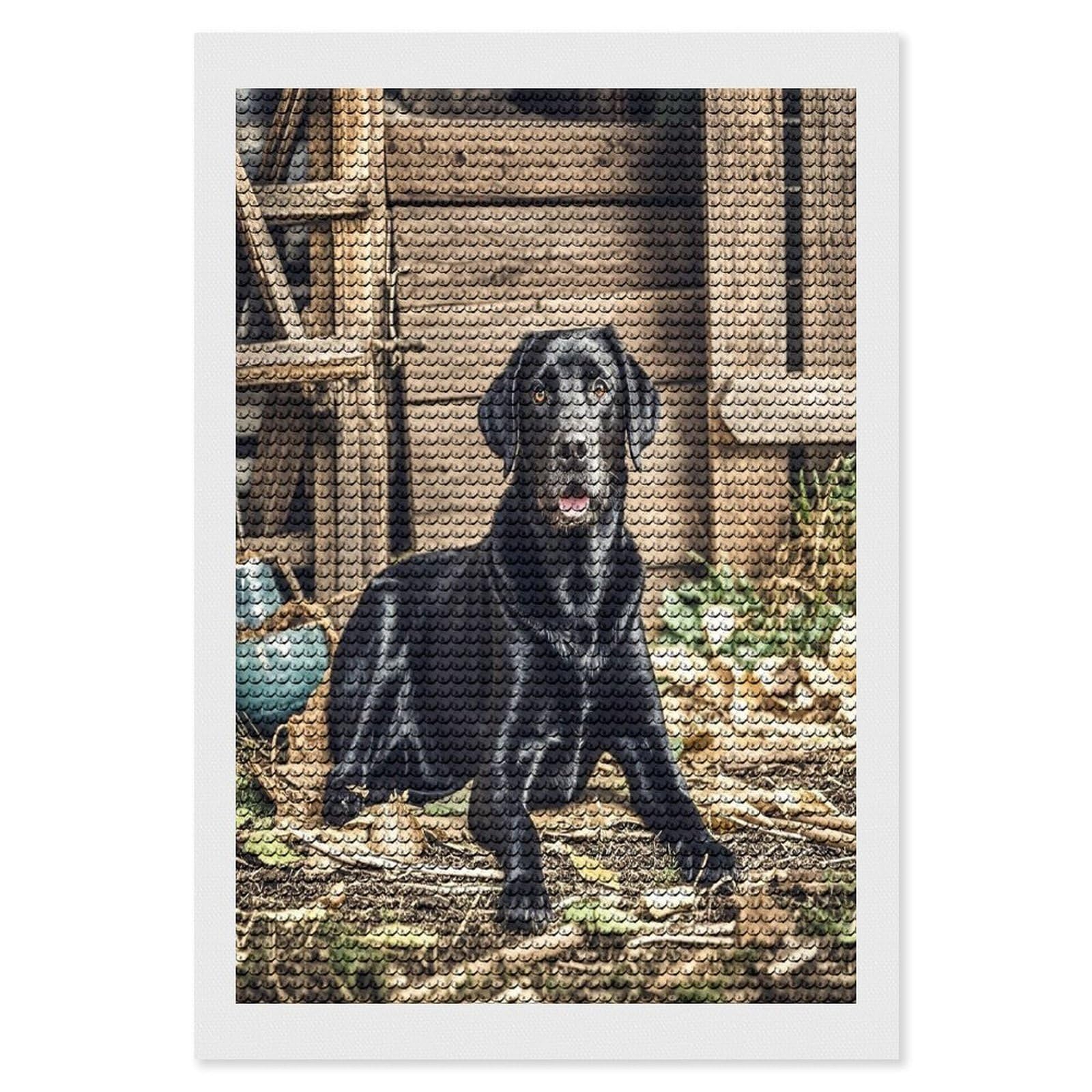 FekiLoot Black Labrador Diamond Painting Kits for Adults Full Round Drill Diamond Art Kits for Beginners 5D DIY Diamond Dots Paintings Diamonds Pictures Gem Art Home Wall Decor 8"x12"