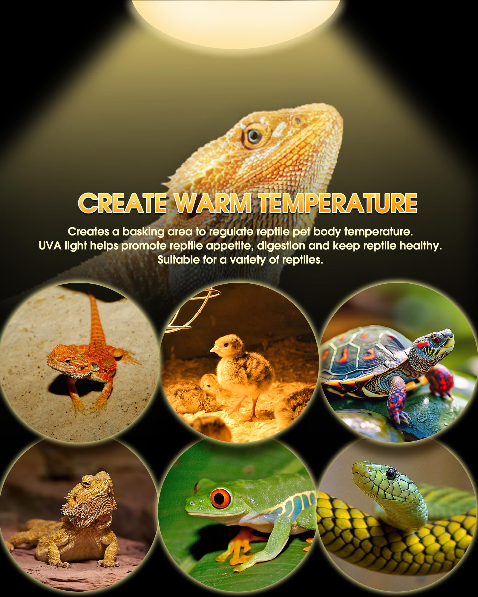 Reptile Heat Lamp Bulbs -100W UVA Natural Daylight Heating Lamp Basking Bulb for Bearded Dragon, Basking Spot Floodlight Light for Reptiles, Lizard, Turtle, Snake Bathroom, Plants,Chickens Pets,2 Pack - image 3