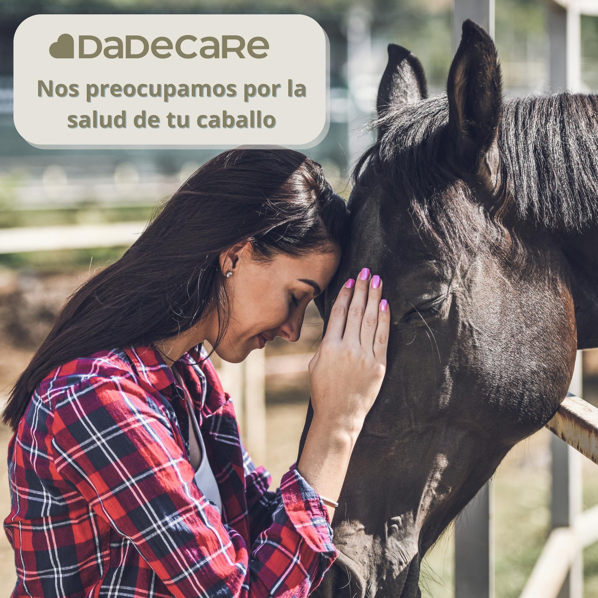 Broncare - Respiratorio Caballos 1L – Extractos de Menta, Eucalipto, Tomillo y Hierbas – Refuerzo Inmunitario y Bienestar Pulmonar – Ideal en Ambientes con Polvo, Calor o Estrés