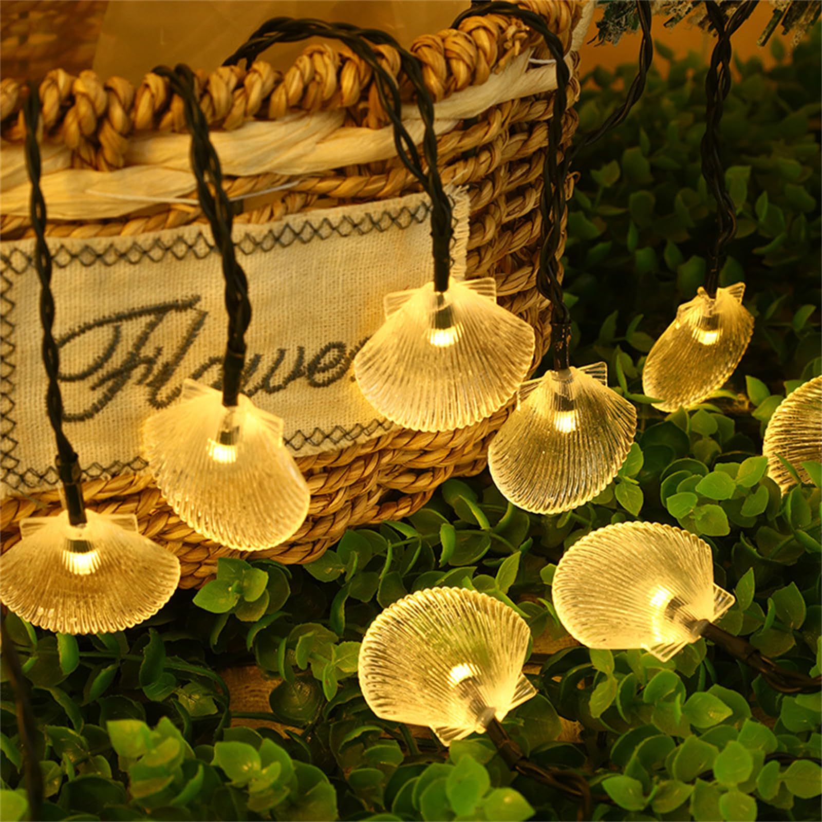 Mateju LED Lichterkette Außen Solar, Solar Lichterkette Aussen mit Fernbedienung 8 Modi Solarlichterkette Outdoor für Innen, Garten, Terrasse, Balkon, Hochzeit (Muschel Farbe,32M/300LED)