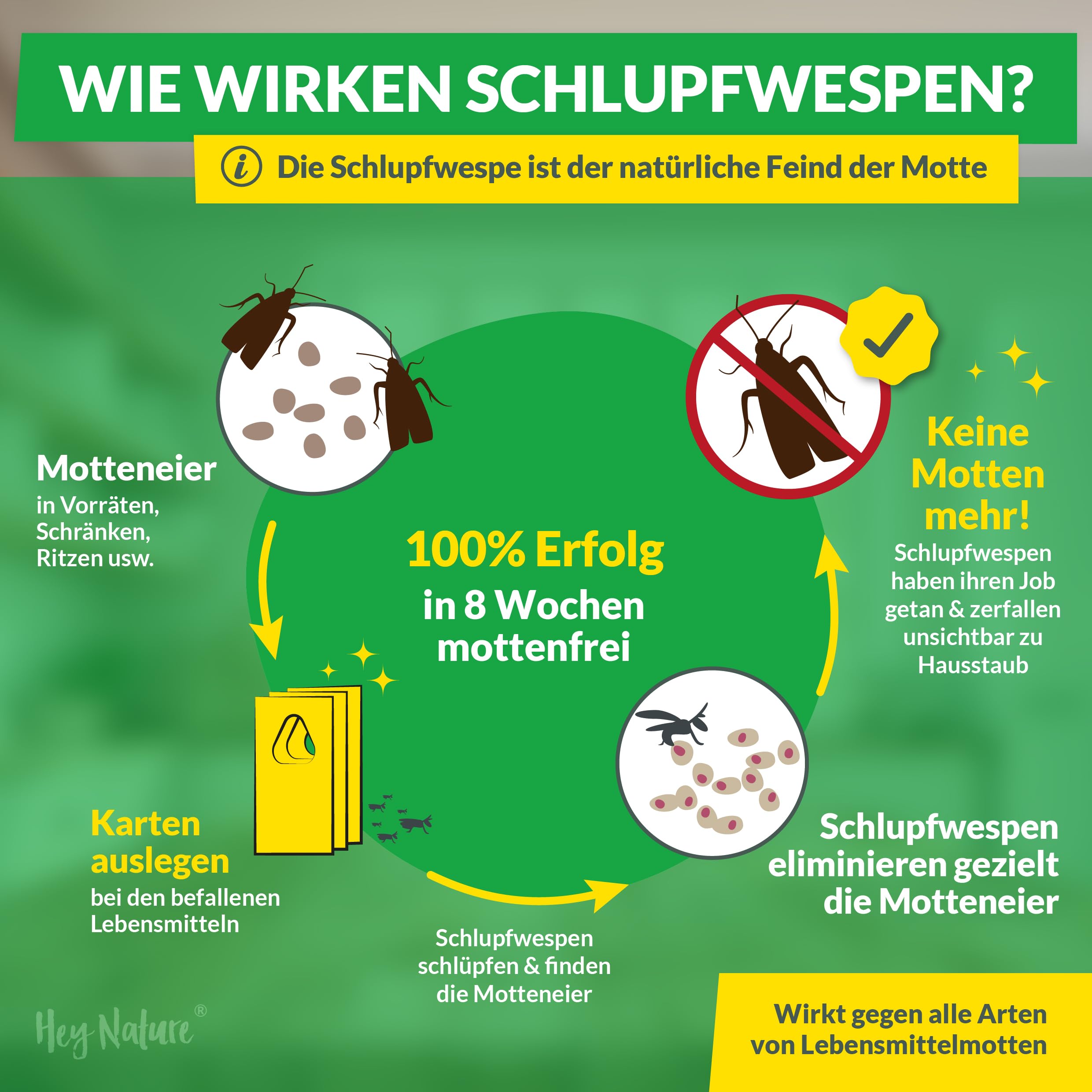Hey Nature® Schlupfwespen gegen Lebensmittelmotten, 9 Karten (3 Karten à 3 Lieferungen). Effektiv Lebensmittelmotten bekämpfen mit Schlupfwespen gegen Motten. Alternativ zu Mottenkugeln & Mottenspray
