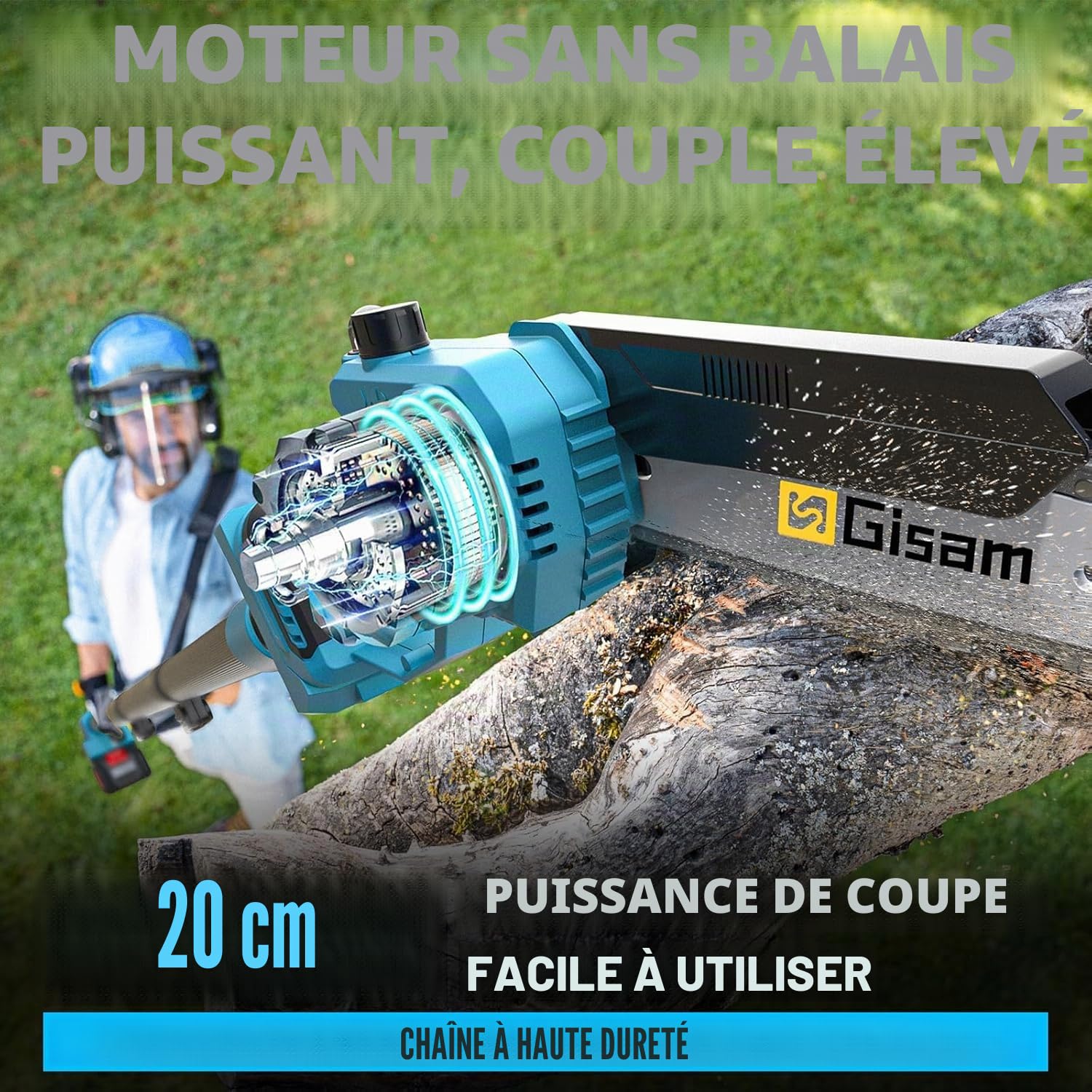 Mini TronçOnneuse Et SéCateur éLectrique 4 En 1 Avec Batterie 2 X 4,0 Ah, Barre D'Extension Jusqu'à 4,2 M, Moteur Sans Balais, Scie D'éLagage éLectrique Pour Branches D'Arbre
