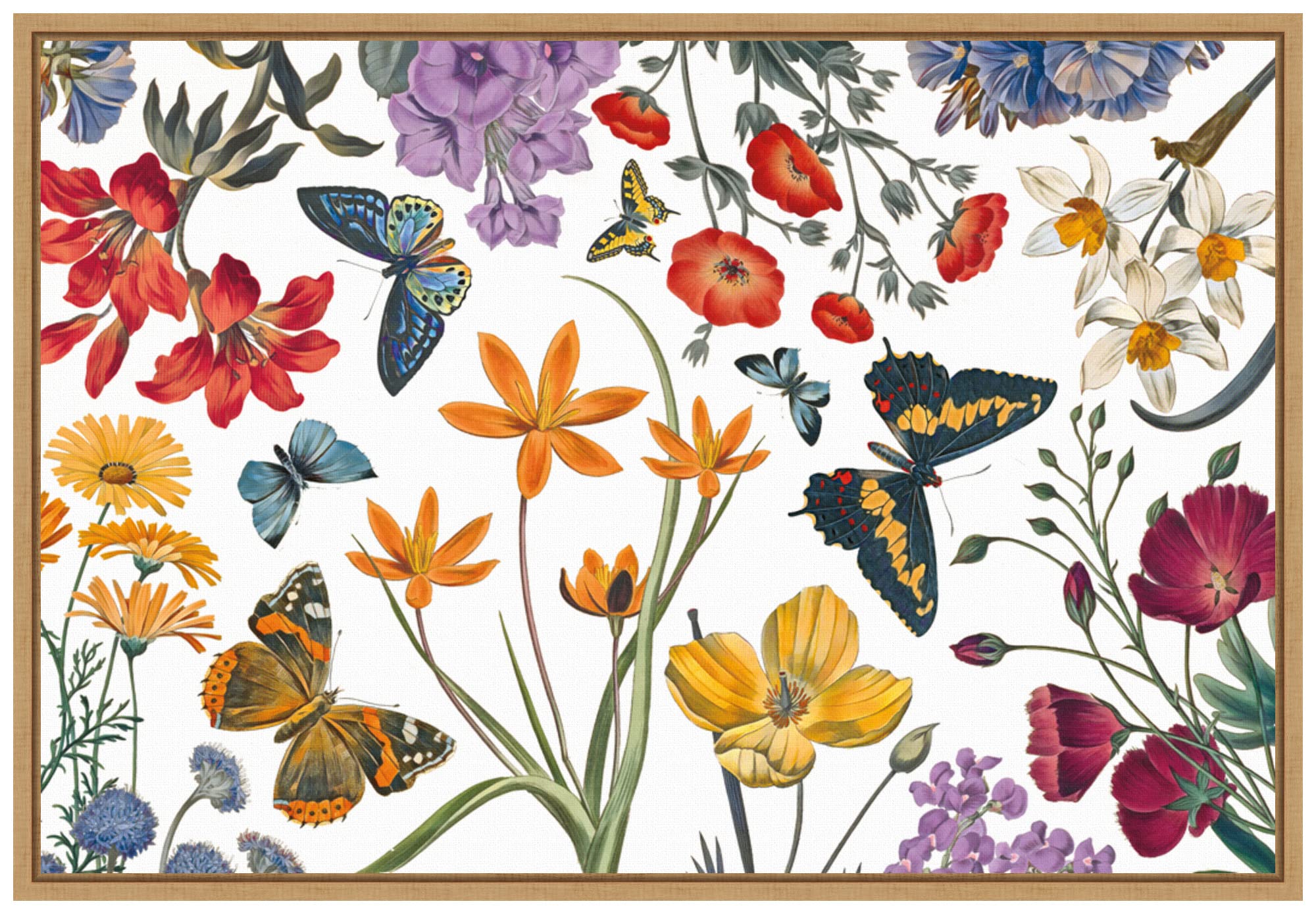 Amanti Art Framed Canvas Wall Art 16x23 Butterfly Garden VI by Wild Apple Portfolio, Framed Wall Art Canvas, Flowers Artwork, Modern Decor, Medium Poster Painting for Living Room, Bedroom, Bathroom,