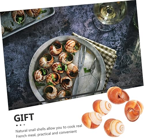 Miniatura 6 de 5 unidades de caracol natural Escargot para hornear diseño de aislamiento térmico para restaurantes, uso doméstico, seguro para horno, microondas,