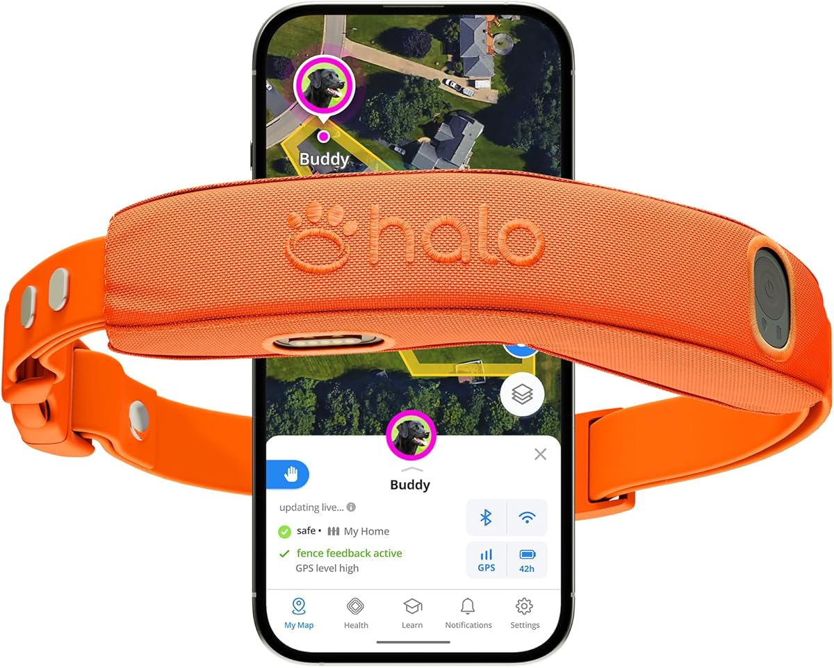 Halo Collar 5 Wireless Dog Fence & GPS Dog Collar, Keep Your Dog Safely Contained Outdoors with App-Controlled Boundaries and Real-Time Tracking, One Size, Blaze