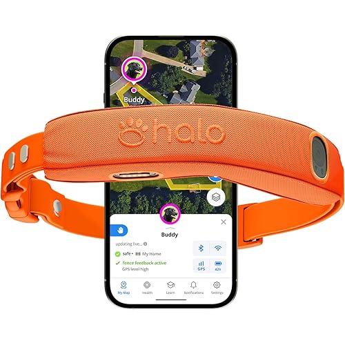Halo Collar 5, New Wireless Dog Fence & GPS Dog Collar, Subscription Required, Waterproof, Blaze, One Size