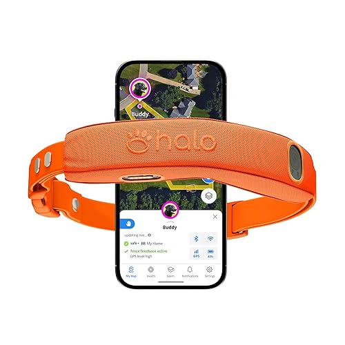 Halo Collar 5 wireless dog fence and GPS collar on white background