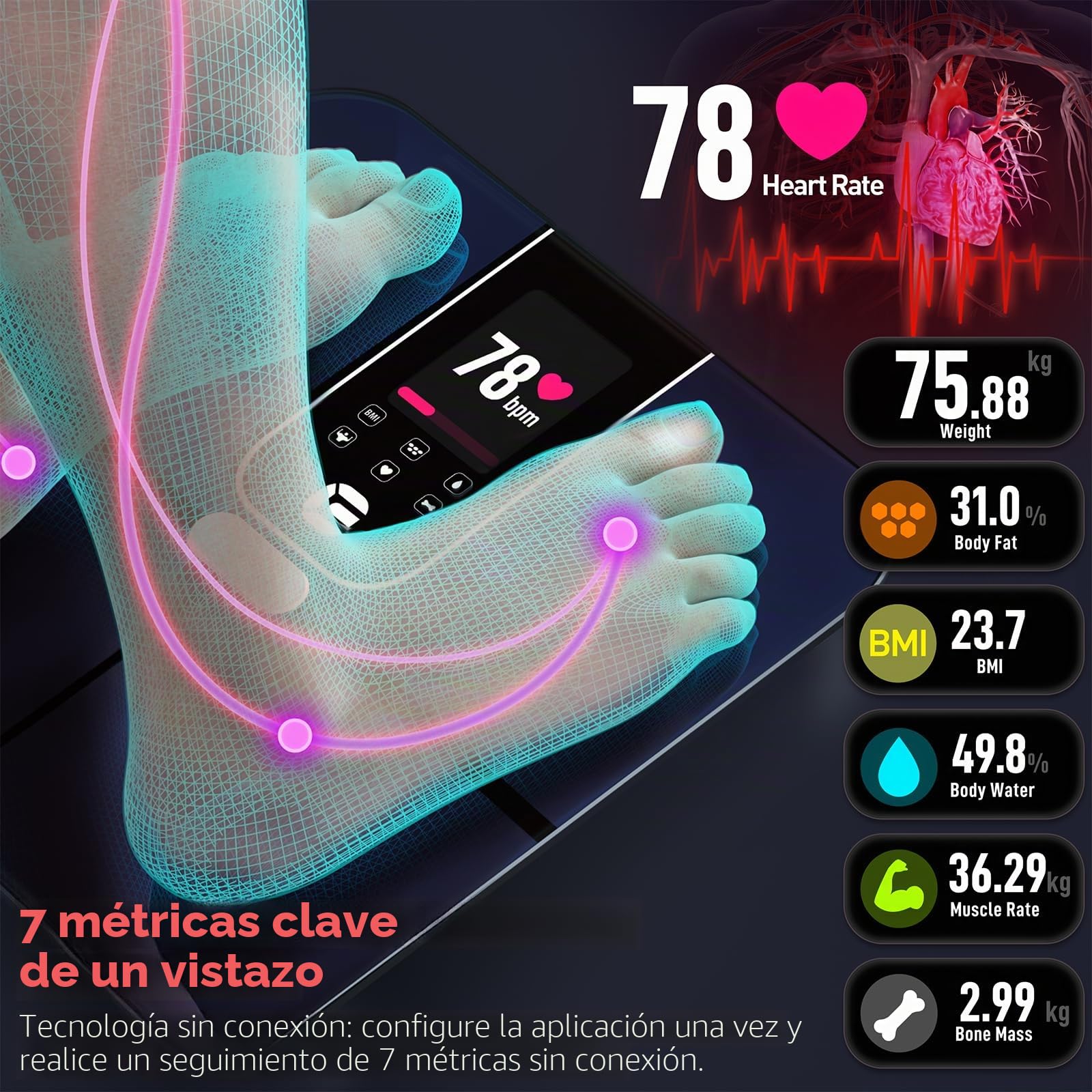 Lepulse Báscula digital para personas de 3,35 pulgadas, TFT, pantalla grande, báscula digital con grasa corporal y masa muscular, báscula BIA con aplicación, 22 datos de medición, frecuencia cardíaca