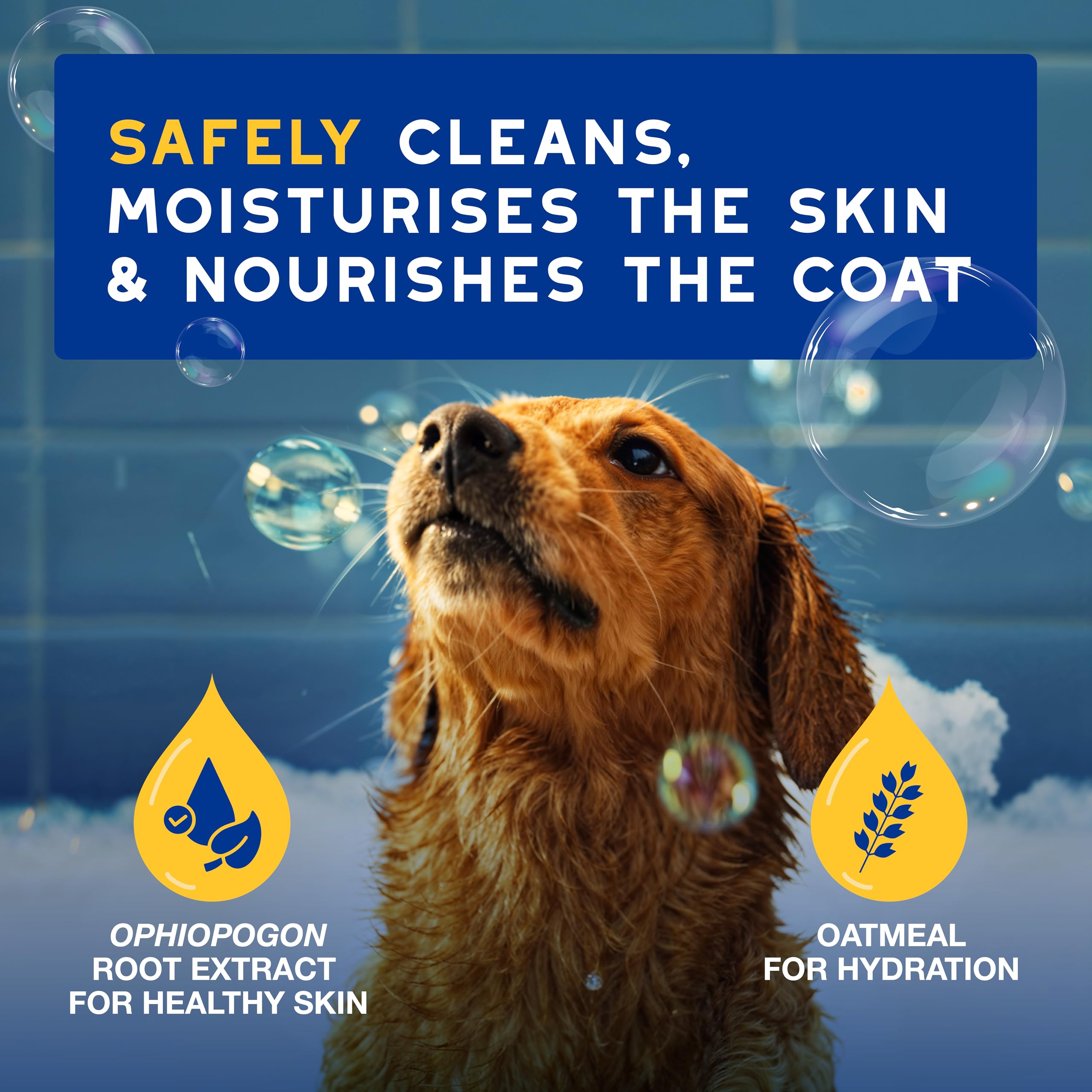 Douxo Spa, Oatmeal Dog Shampoo, 250 ml, Cleans and Deeply Hydrates the Skin, Enhances the Fur - Image 2