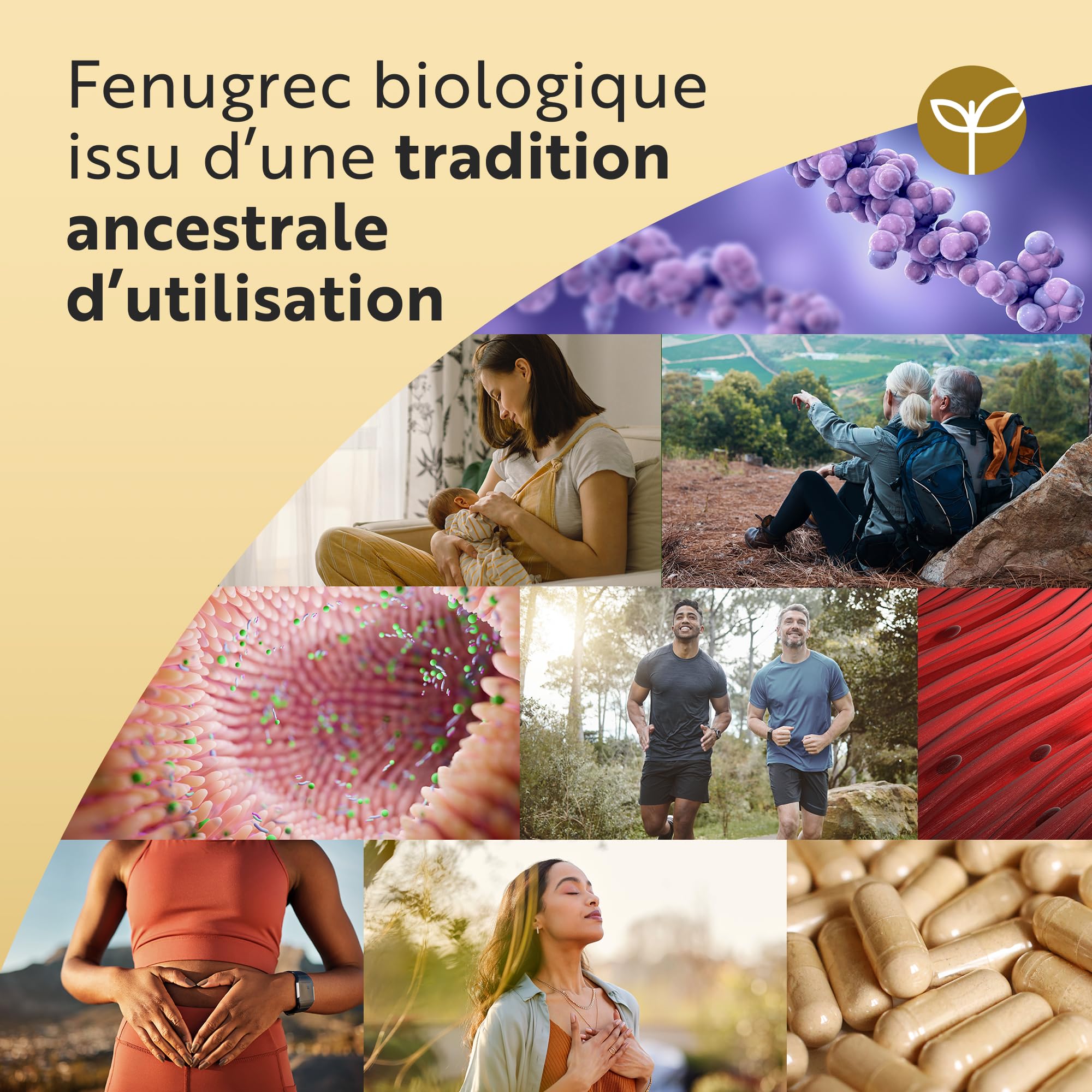 Fenugrec Bio 2250mg par dose de 3 Capsules, jusqu'à 8 mois d'Approvisionnement - 240 Fenugrec Gelule Véganes - 1-3 Capsules par Jour, Complement Alimentaire Fait en Angleterre - Nutravita