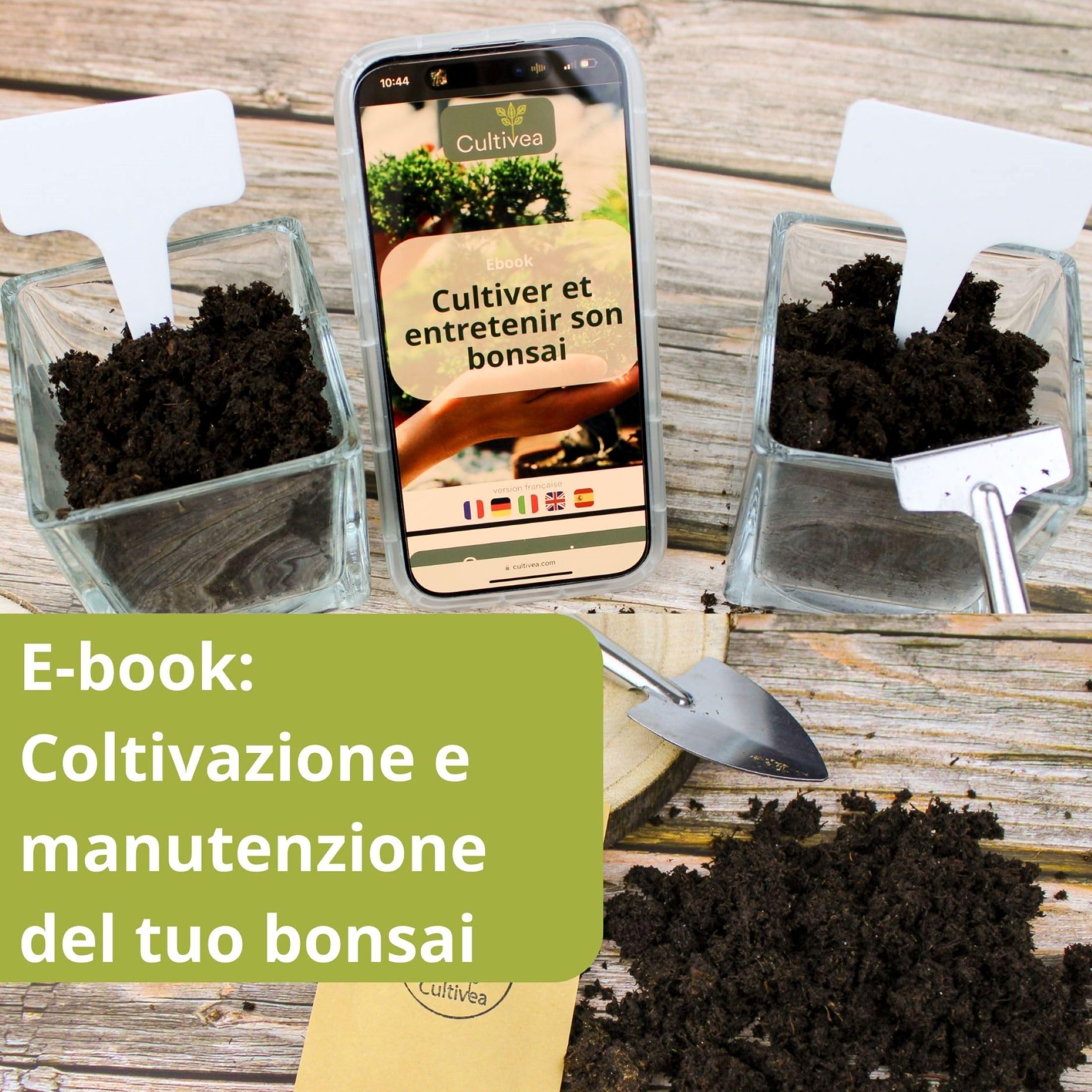 Cultivea® Set di 32 Attrezzi Completi per Bonsai - Attrezzi in Acciaio - Giardino - Cesoie per Bonsai e Cura delle Piante - Forbici - Pinze - Potatura Bonsai - Filo di Alluminio