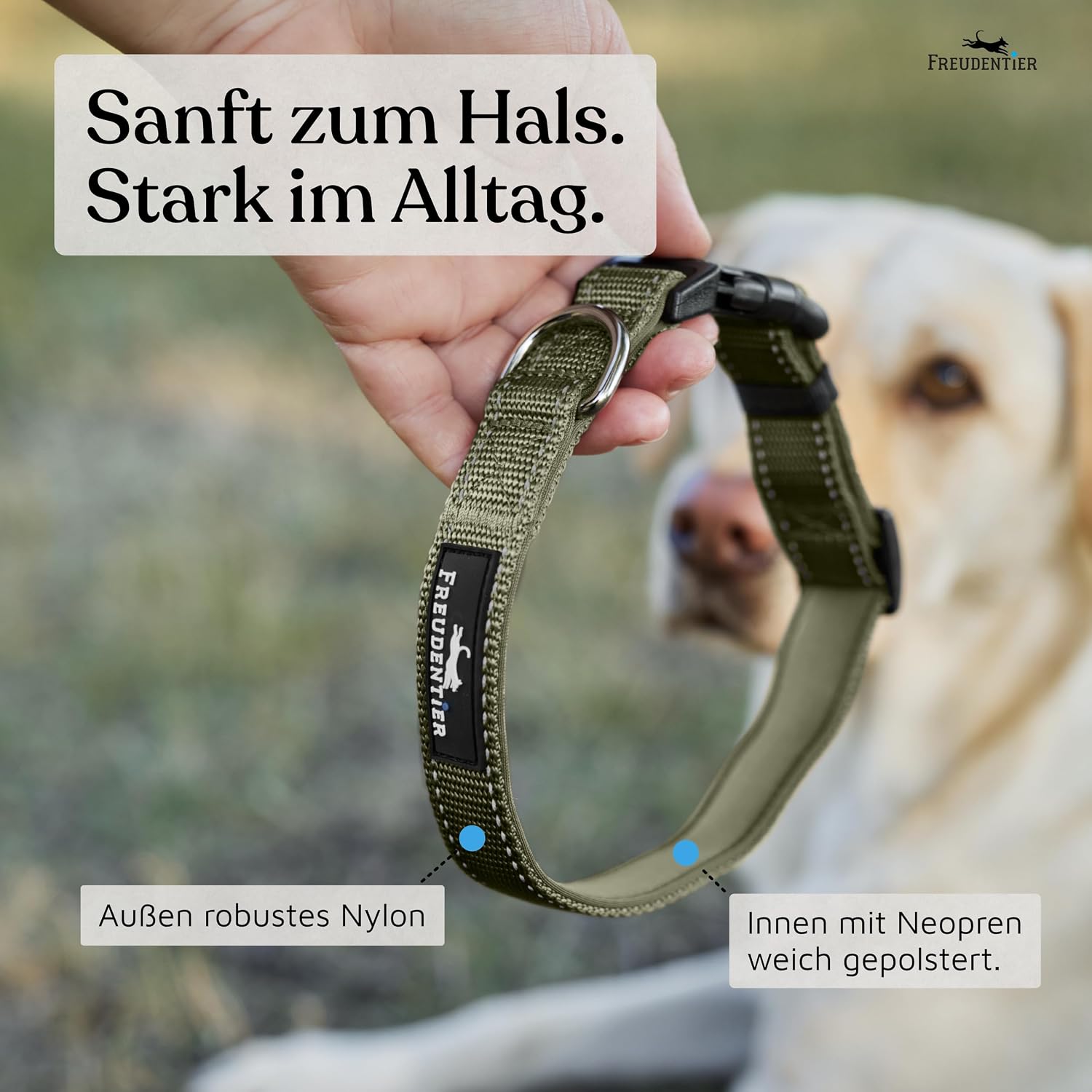 Freudentier Padded Dog Collar – Soft Neoprene, Reflective, Adjustable image 2