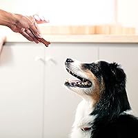 Vista 6 de Milk-Bone Golosinas suaves y masticables para perros, receta de carne de res y filete mignon, 25 onzas