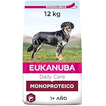Eukanuba Daily Care, alimento secco per cani adulti – Monoproteico al salmone 12KG