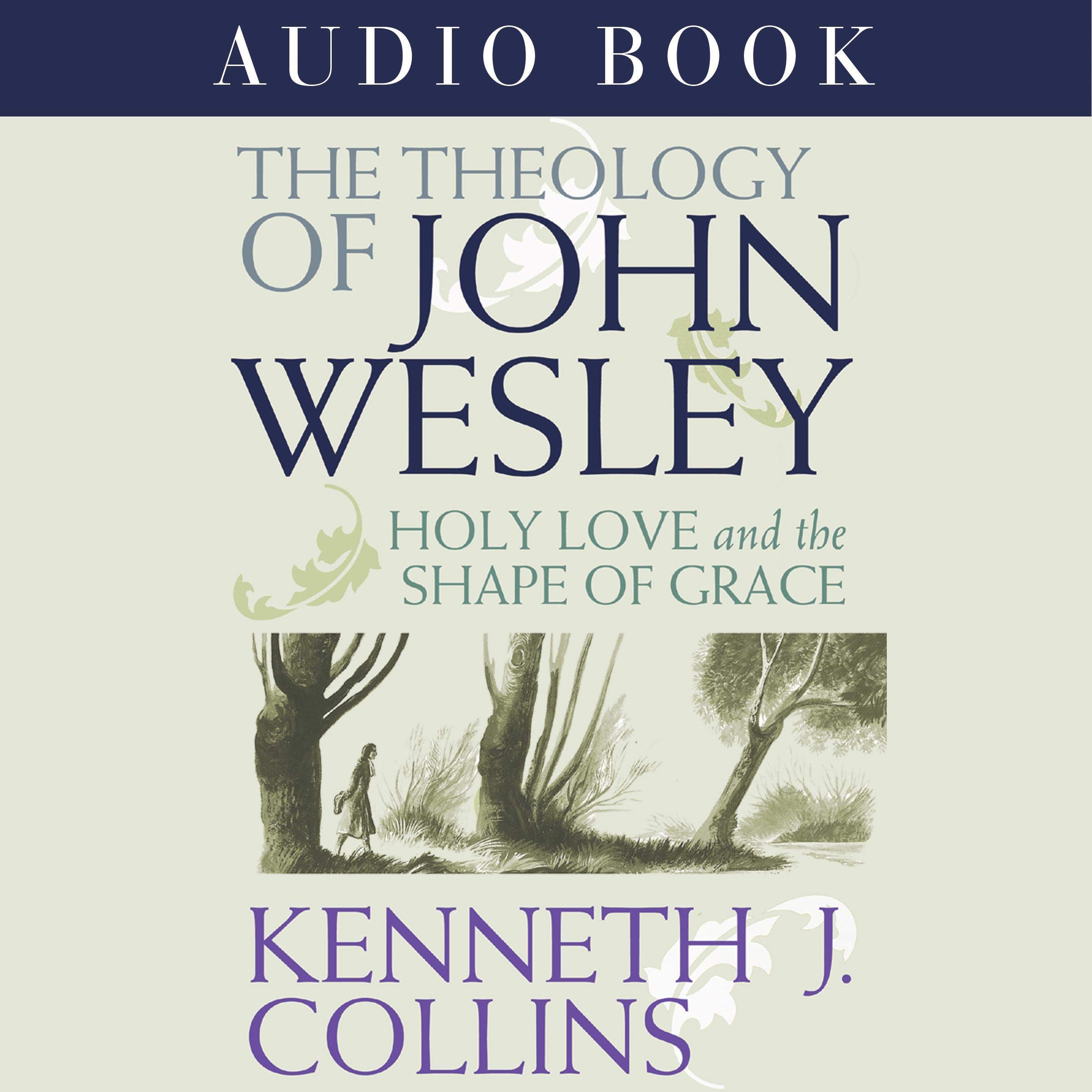 The Theology of John Wesley: Holy Love and the Shape of Grace