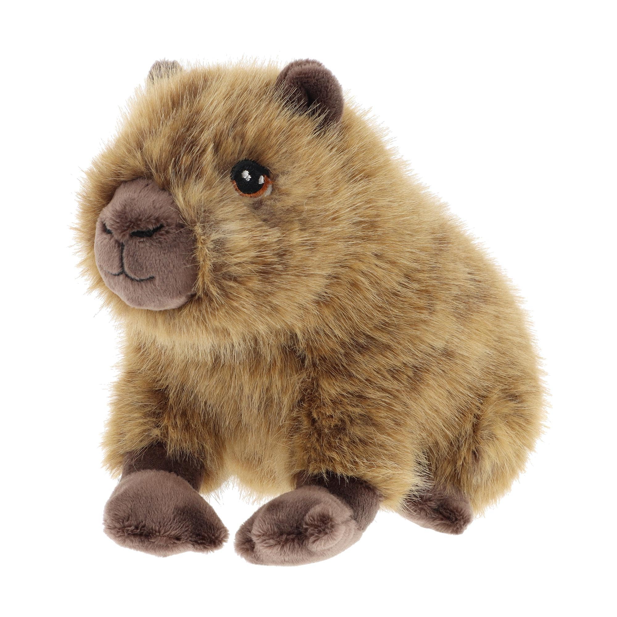 Keel Toys Keeleco 18CM CAPYBARA SE4074