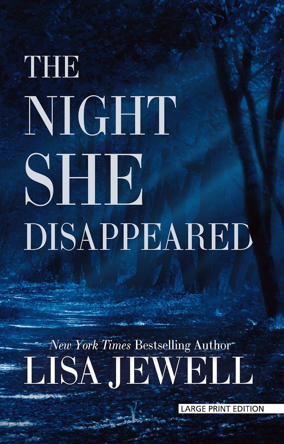 The Night She Disappeared Jewell, Lisa 9781432899097 Books
