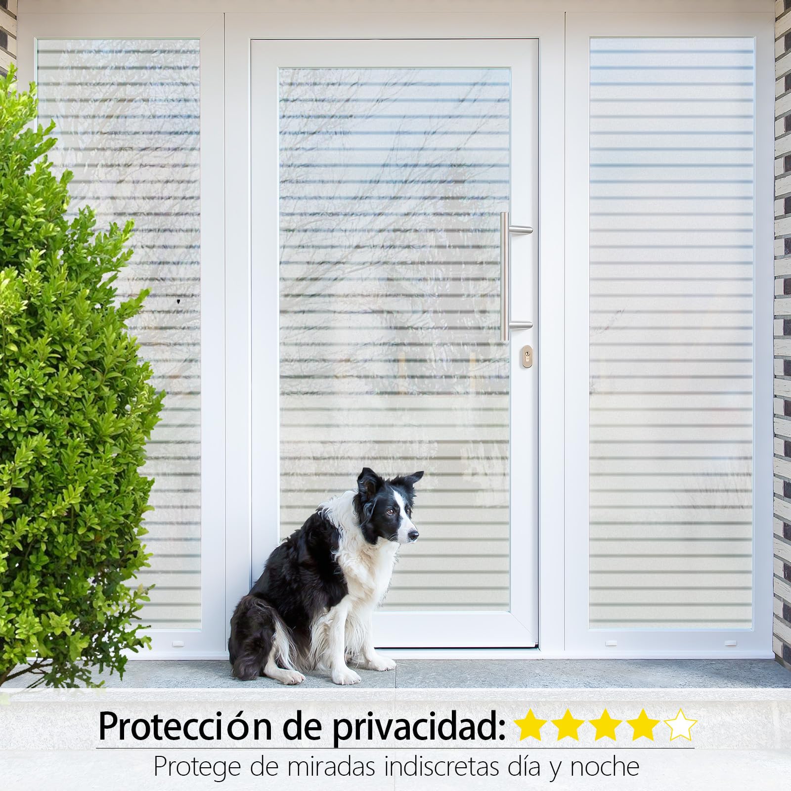 Zindoo Vinilos para Cristales Vinilo Adhesivo Cristal Patrón de Juncos Mate Proteger la Privacidad Anti UV Electrostática Autoadhesivo Decorativo para Dormitorio Sala Comedor Cocina 90x400cm