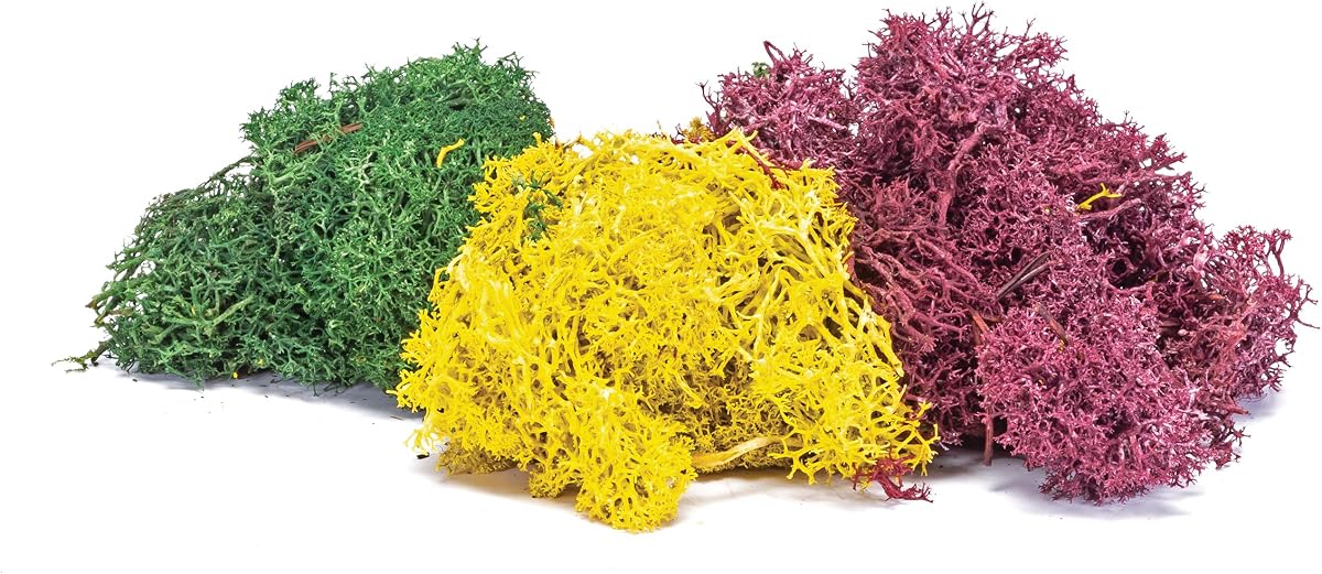 R7196 Lichen - Autumn Mix for Model Railway OO Gauge, Model Train Accessories for Adding Scenery, Dioramas, Woodland, Buildings and More, Model Making Kits - 1:76 Scale Model Accessory