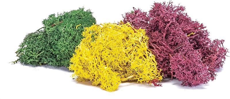 R7196 Lichen - Autumn Mix for Model Railway OO Gauge, Model Train Accessories for Adding Scenery, Dioramas, Woodland, Buildings and More, Model Making Kits - 1:76 Scale Model Accessory