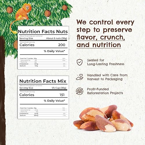 Vista 39 de Snack The True Organic Brasil Nuts 15 oz – Crudos y sin sal – Kosher – Saludables ricos en proteína vegetal – Cosechados en la selva amazónica