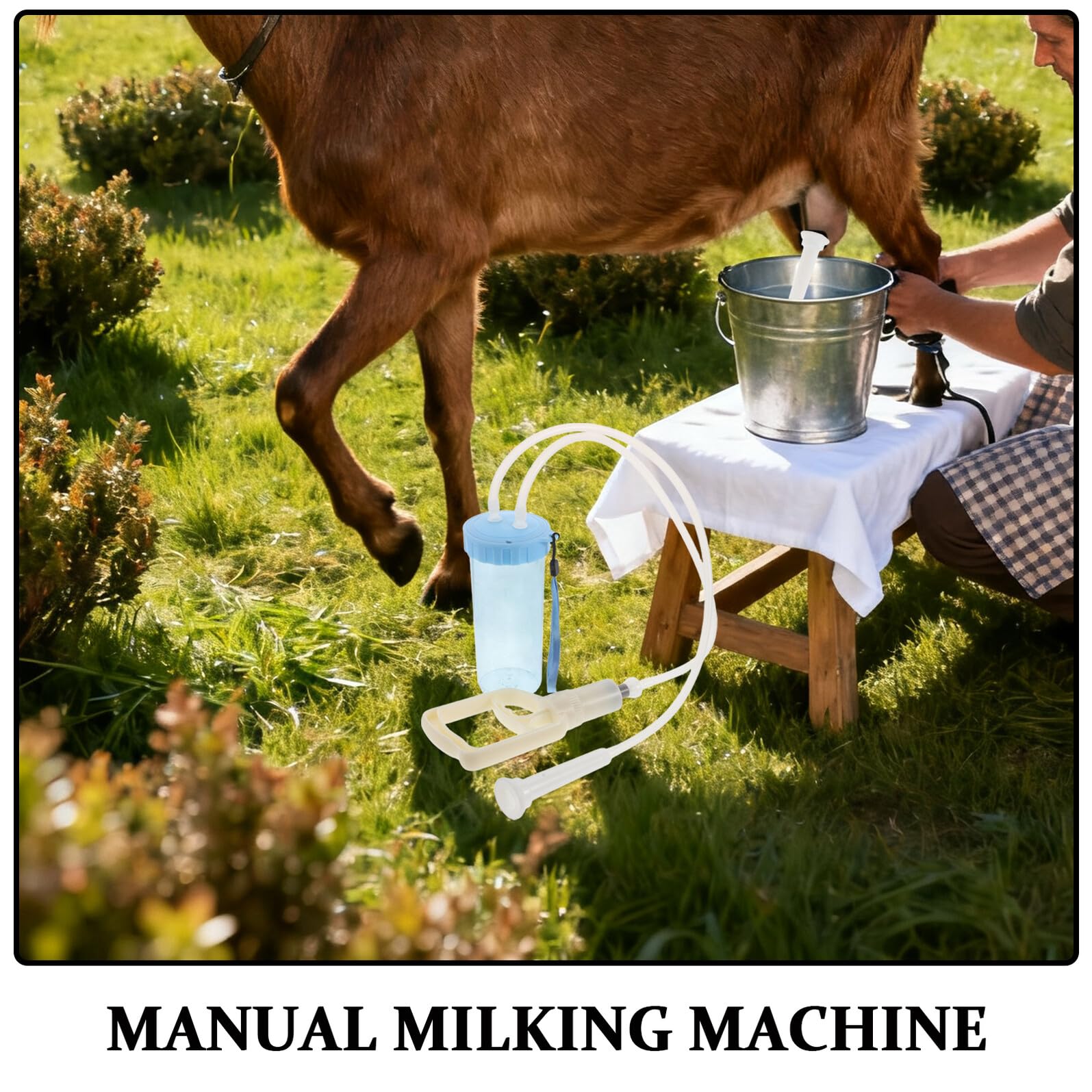 Homoyoyo Ordeñadora Manual Portátil para Ovejas 1 Unidad con Bomba de Succión Equipo Veterinario Reutilizable para Granjas y Manejo de Rebaños