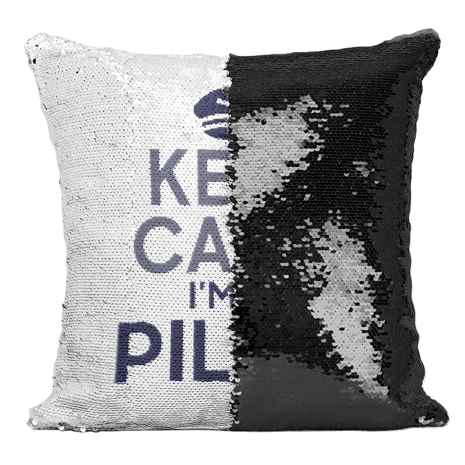 Coussin Sequin Pilote d'Avion pour Décorer un Salon de Passionné d'Aéronautique