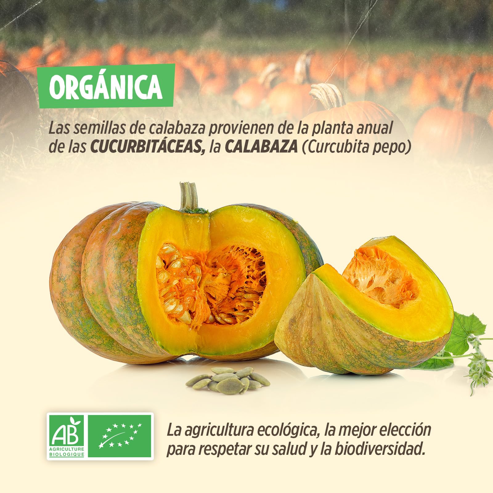 Semillas de Calabaza Orgánicas - 500g - Curcubita pepo - Semillas Enteras, Decorticadas, Sin sal