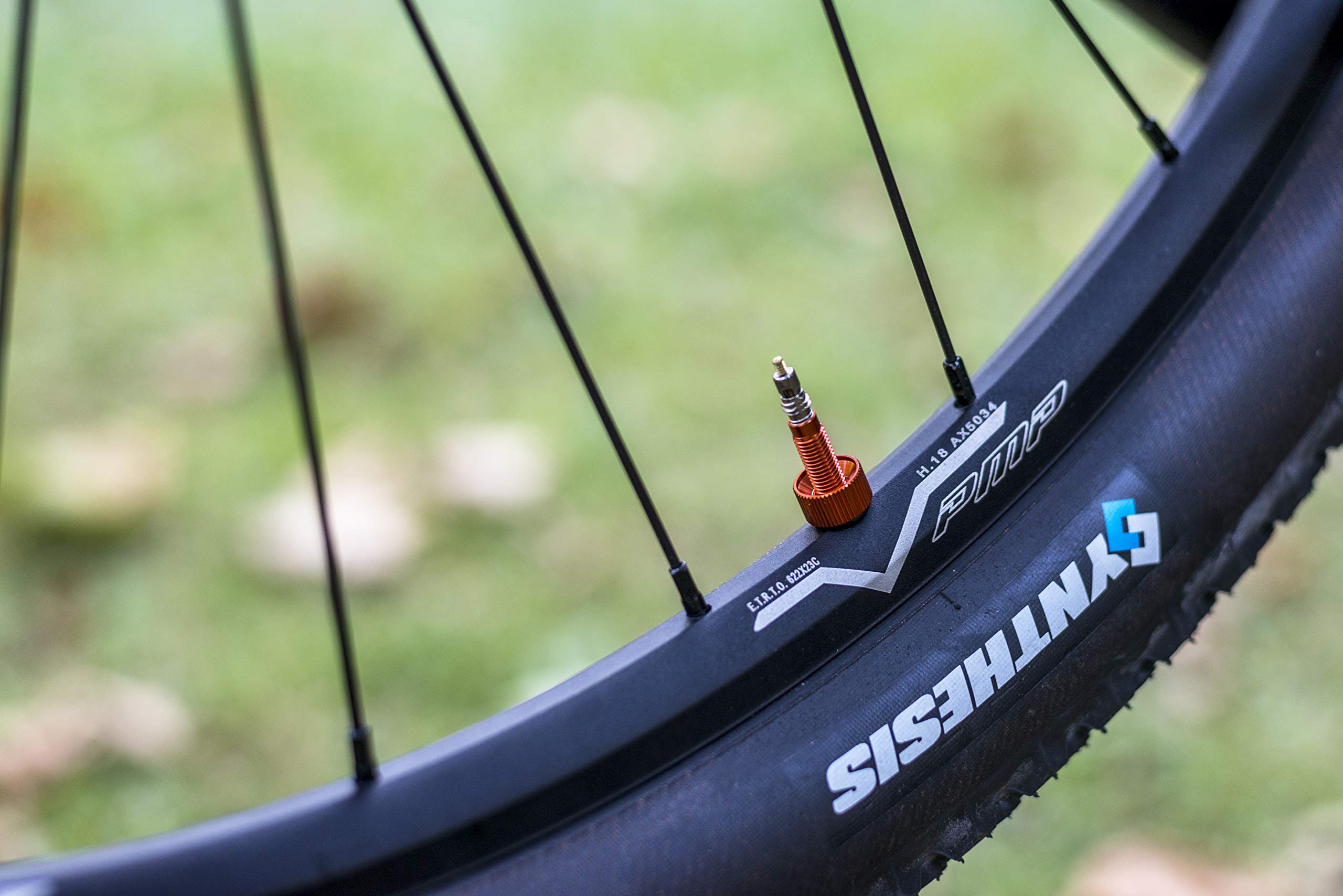 PMP Valvole Tubeless mtb Universali con strumento di rimozione core integrato | Base conica compatibile con mousse | Ghiera maggiorata per l'utilizzo senza attrezzi | Presta standard | 50 mm.