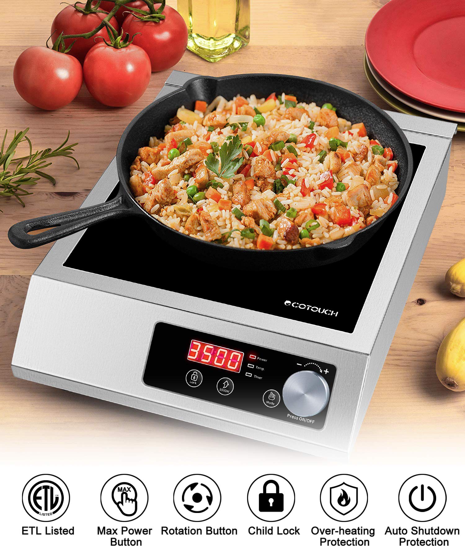 Portable Induction Cooktop, ECOTOUCH Countertop