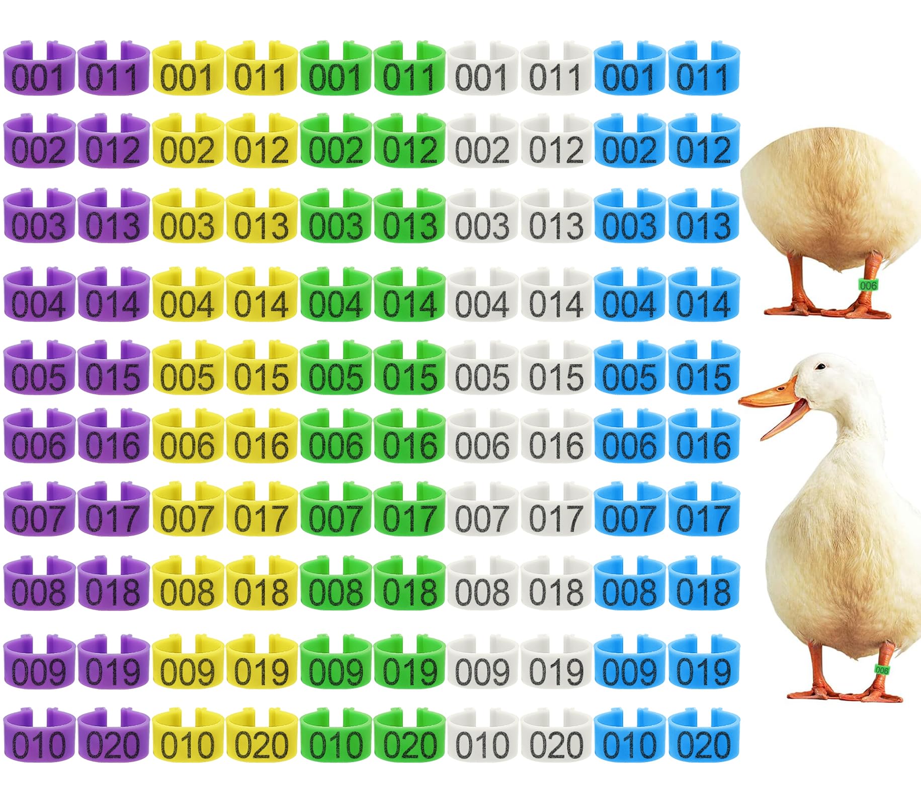 Keedolla 100Pcs 20mm Chicken Leg Rings 5 Colors Numbered Chicken Identification Leg Bands Poultry Tags, Poultry Ankle Rings for Ducks Guinea Goose Gamefowl Turkey - Medium