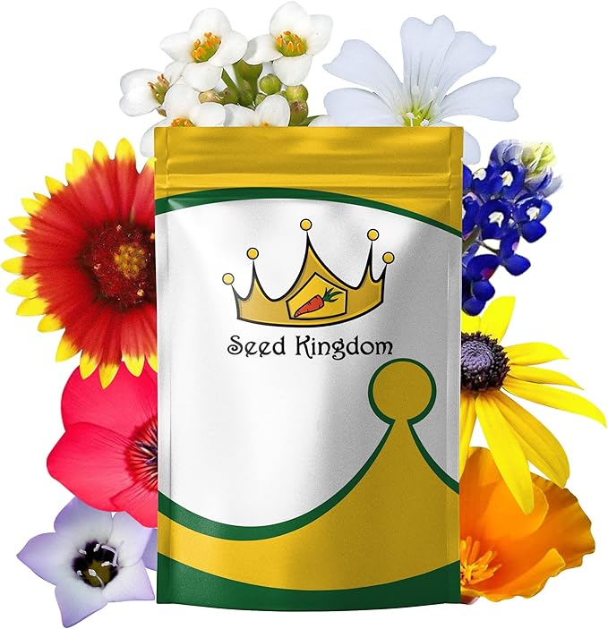 Wildflower Mix Annual 21 Varieties Non GMO Bulk Flower