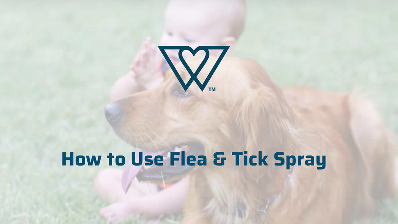 Wondercide - Flea, Tick & Mosquito Spray for Dogs, Cats, and Home - Flea and Tick Killer, Control, Prevention, Treatment… - Image 7