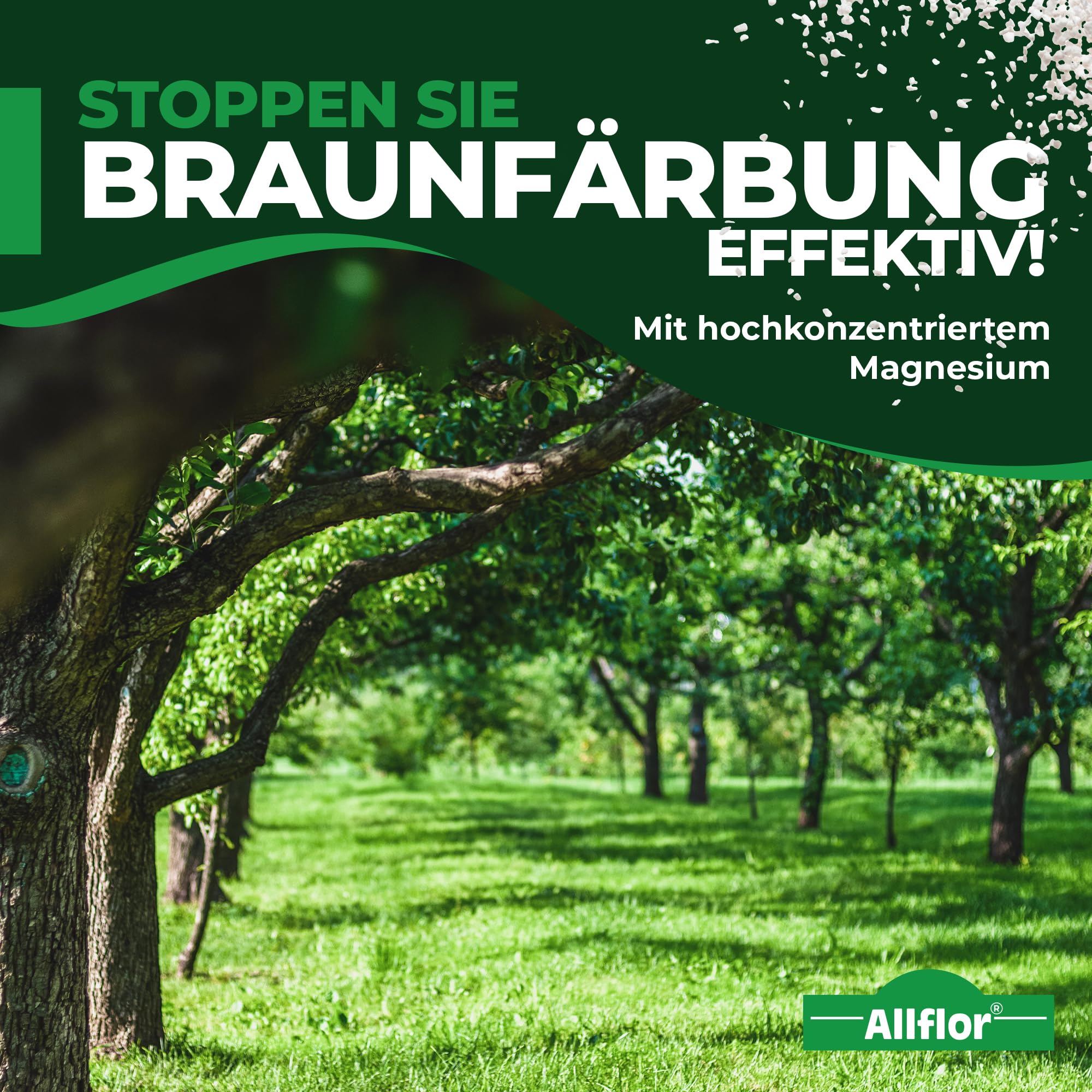 Allflor Bittersalz mit 16% Magnesium I 1 x 10 Kg I Bittersalz gegen Braunfärbung an Nadelbäumen und Hecken I Salzdünger für Blattgrünbildung I Zur Blatt- und Bodendüngung