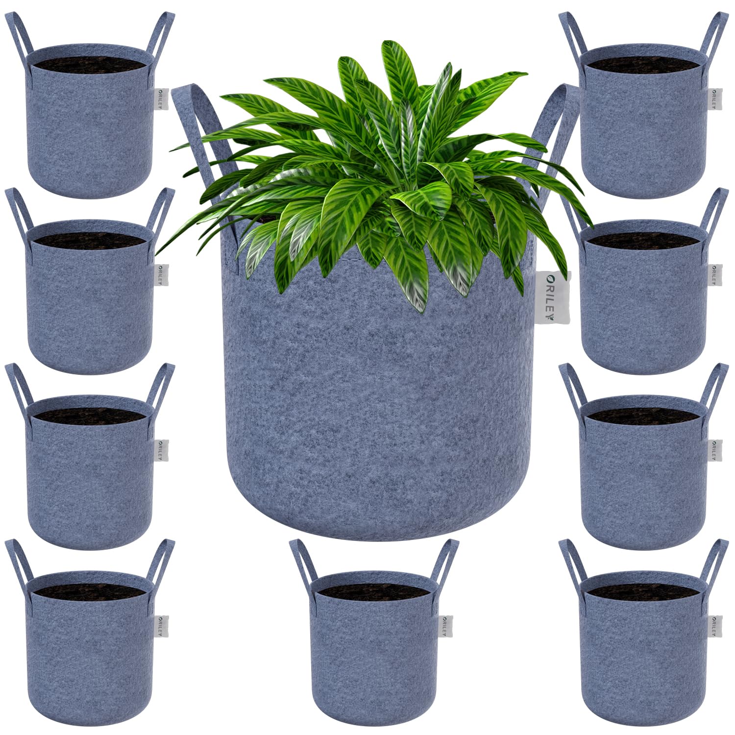 ORILEY Grow Bag Heavy Duty Geo Fabric Plant Pot with Sturdy Handles Lightweight Bags Ideal for Gardening Balcony Terrace (Grey, Round, 500 GSM 8 x 8 inch Pack of 10) (B0BX32TH2R) Amazon Price History, Amazon Price Tracker