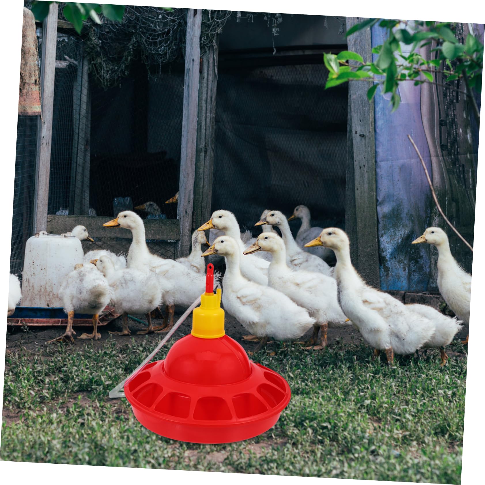 Garneck Abbeveratoio Automatico per Pollame in Plastica Pp Design Unico, Facile da Pulire e Comodo, per Uccelli Domestici in Negozio o Casa